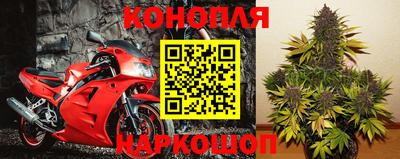 молекула духа Славгород